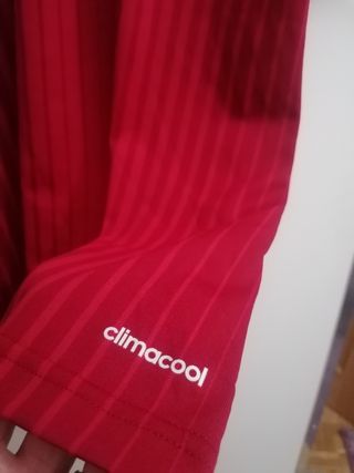 Camiseta futbol España World Champions