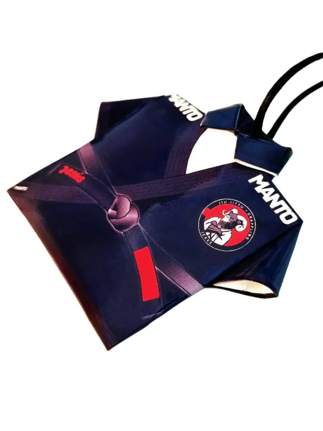 BJJ Jiu Jitsu artes marciales brasileño