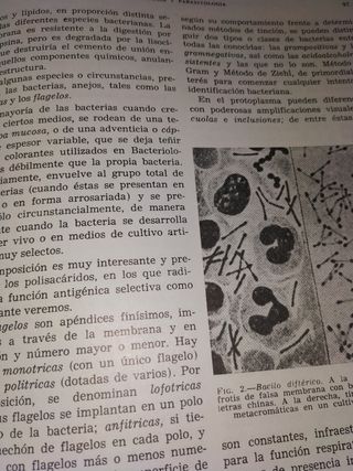 Tratado del Ayudante en medicina y cir