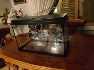 Acuario pecera 60L