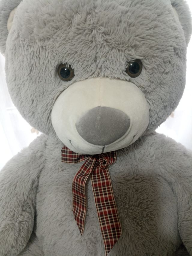 Oso 🐻 peluche grande 53x16x70