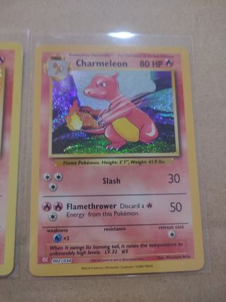 Charmander y charmeleon classic