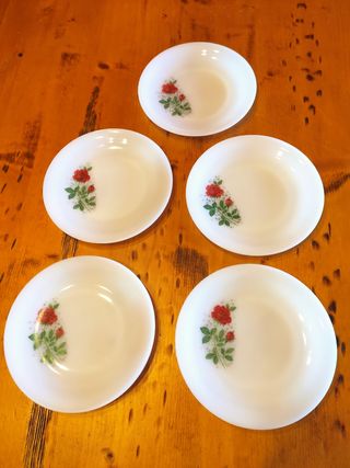 5 PLATOS LLANOS ARCOPAL ROSAS ROJAS