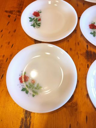 5 PLATOS LLANOS ARCOPAL ROSAS ROJAS