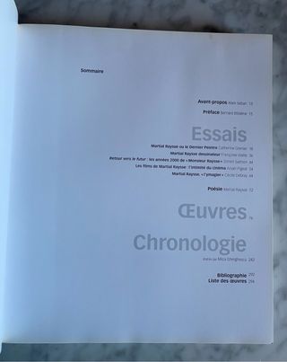 Martial Raysse 1960-2014