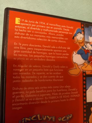 5 PE. DISNEY Y ZAPATOS