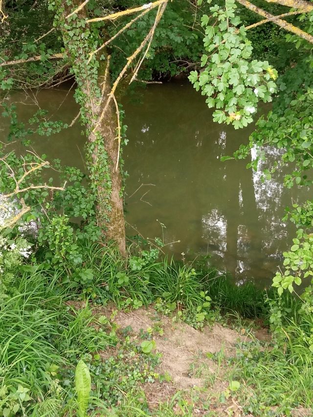 ideal para recreativa y regadío