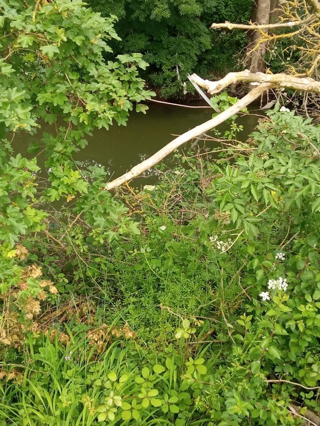 ideal para recreativa y regadío