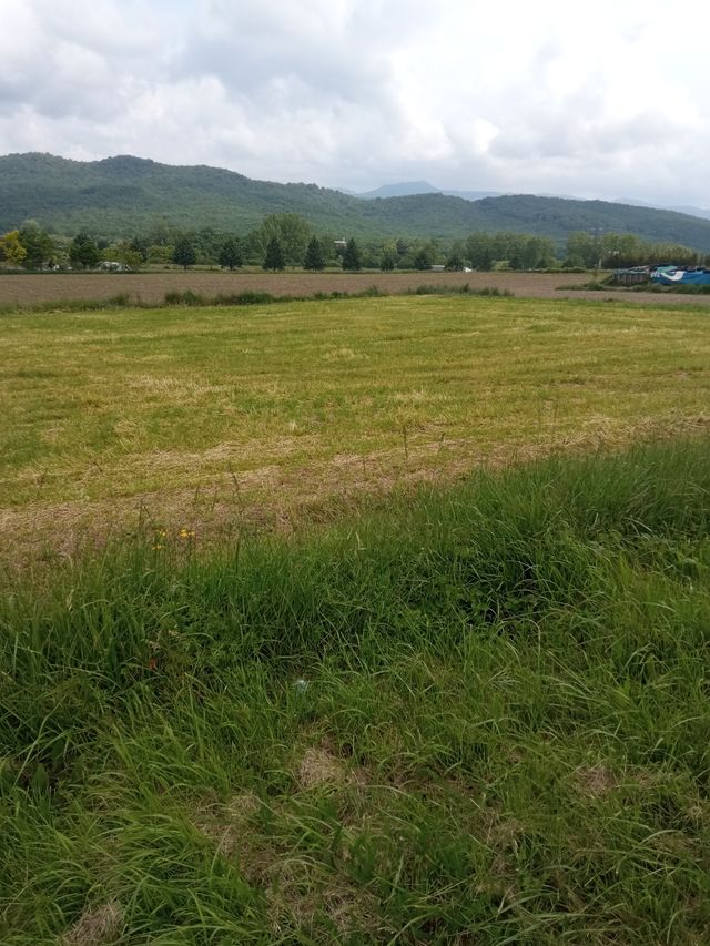 ideal para recreativa y regadío