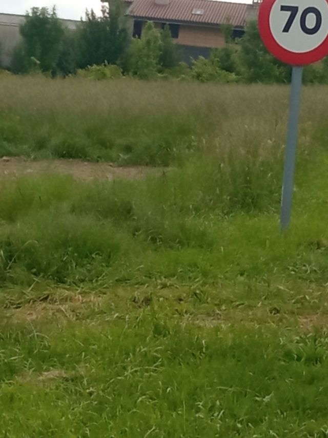 ideal para recreativa y regadío