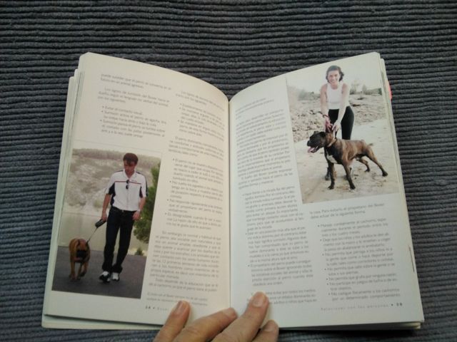 Libro del boxer  criadero español 