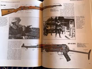 Las SS: GUARDIA PRETORIANA/INSTRUMENTO DE TERROR