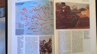 Las SS: GUARDIA PRETORIANA/INSTRUMENTO DE TERROR