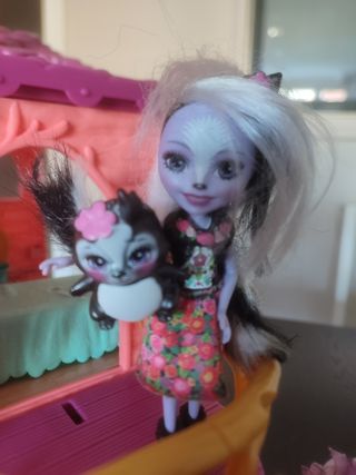 Lote Muñecas Enchantimals