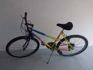 Bicicleta 