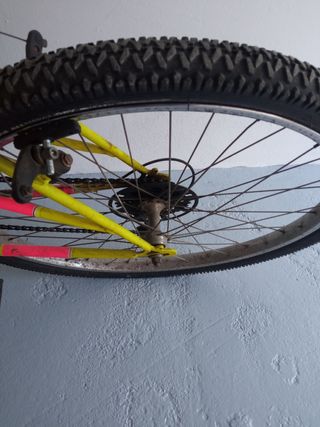 Bicicleta 