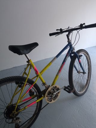 Bicicleta 