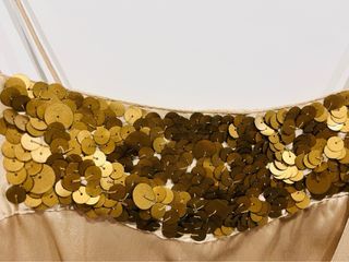 🎈Crop Top champagne satén,lentejuelas.Solo envio🎈