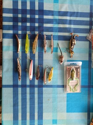 Lote cebos superficie paseantes