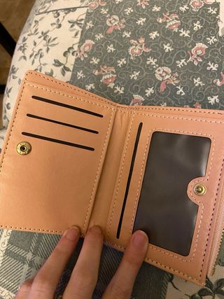 Cartera de cuero (tarjetero/monedero)