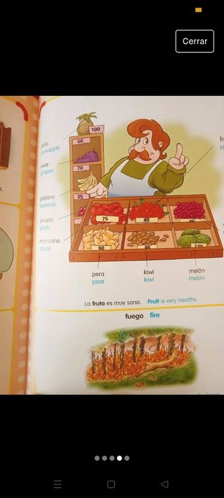 Diccionario español ingles para niños 
