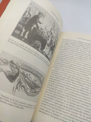 Charles Darwin evolucion libro