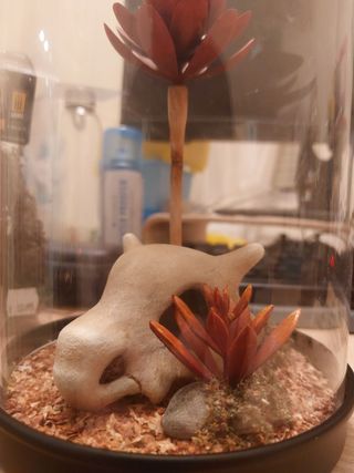 Cubone Diorama Autumn