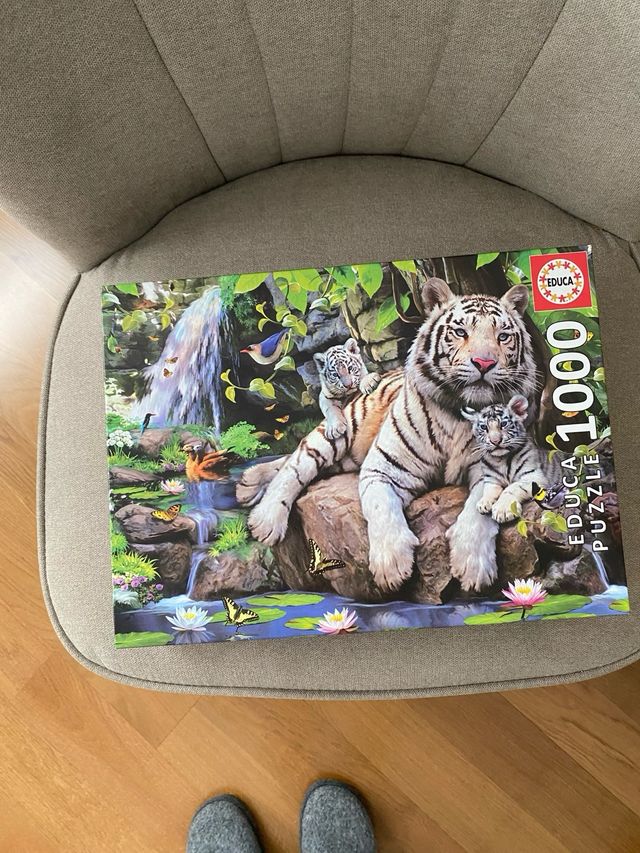 puzzle 1000 piezas educa