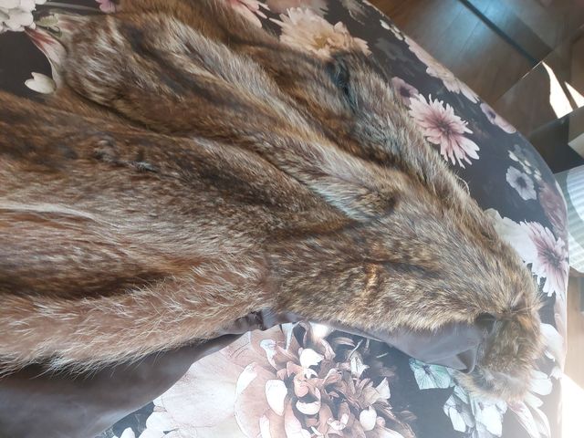 Chaquetón piel pelos