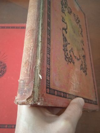 El mundo físico por Amadeo Guillemin