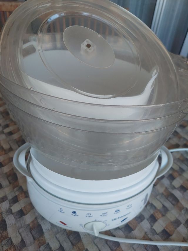 Vaporera Obergozo 4010