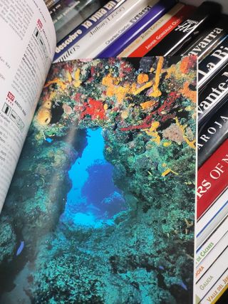 en inglés the cayman