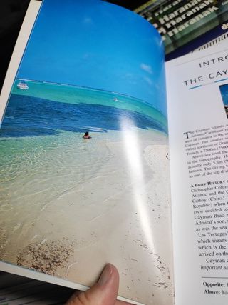 en inglés the cayman