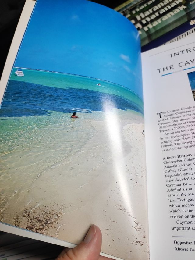 en inglés the cayman