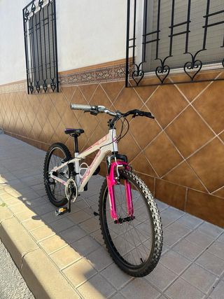 Bicicletas