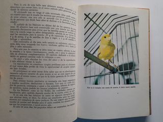 Cría Moderna de los Canarios. Marina Roberti