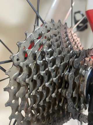 Cuadro Kestrel plato carono vision negocisble
