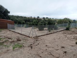 Malla torsión simples