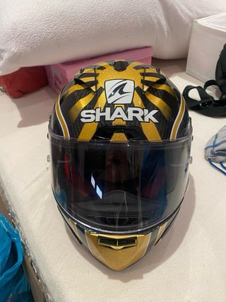 casco shark