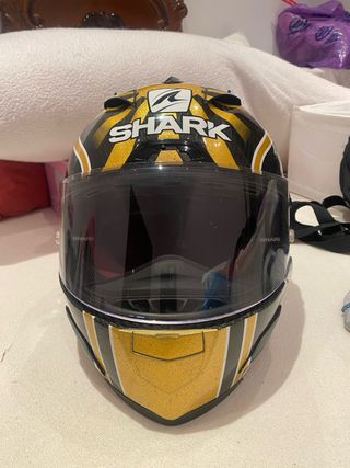 casco shark