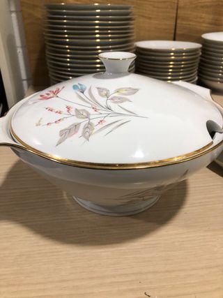 Vajilla SANTA CLARA de 53 piezas