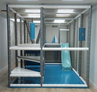 Parque bolas infantil