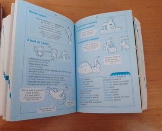 Diccionario de francés