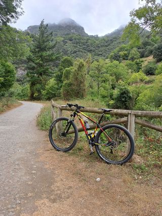Wilier Triestina 503x
