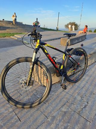 Wilier Triestina 503x