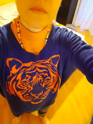 Jersey de tigre Amisu
