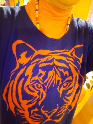 Jersey de tigre Amisu