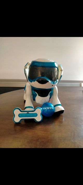 Teksta perro robot