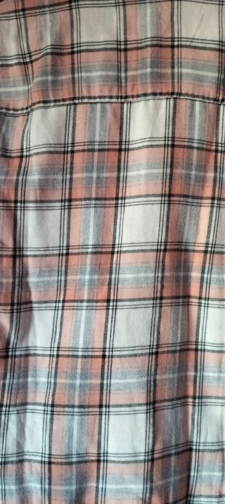 CAMISA HOLLISTER .UNISEX NO imitacion