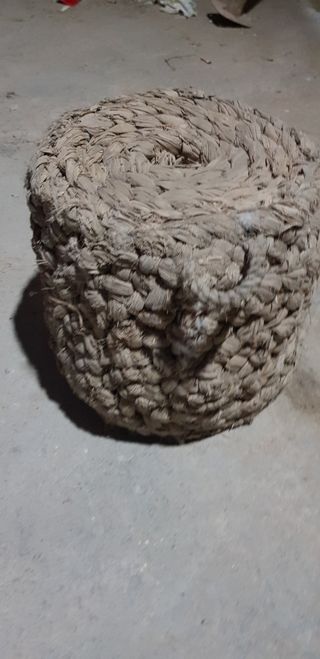 Serijos antiguos enea